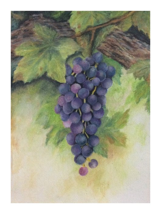 Grapes - water colour by SumathiALN