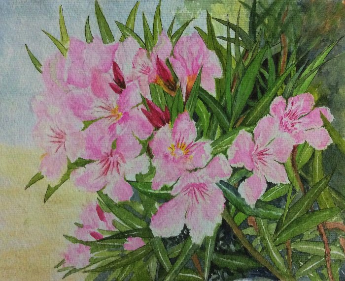 Arali (Oleander) - water colour by SumathiALN